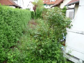 JeneweinKletter 002.jpg