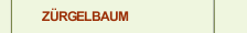 Z&Uuml;RGELBAUM